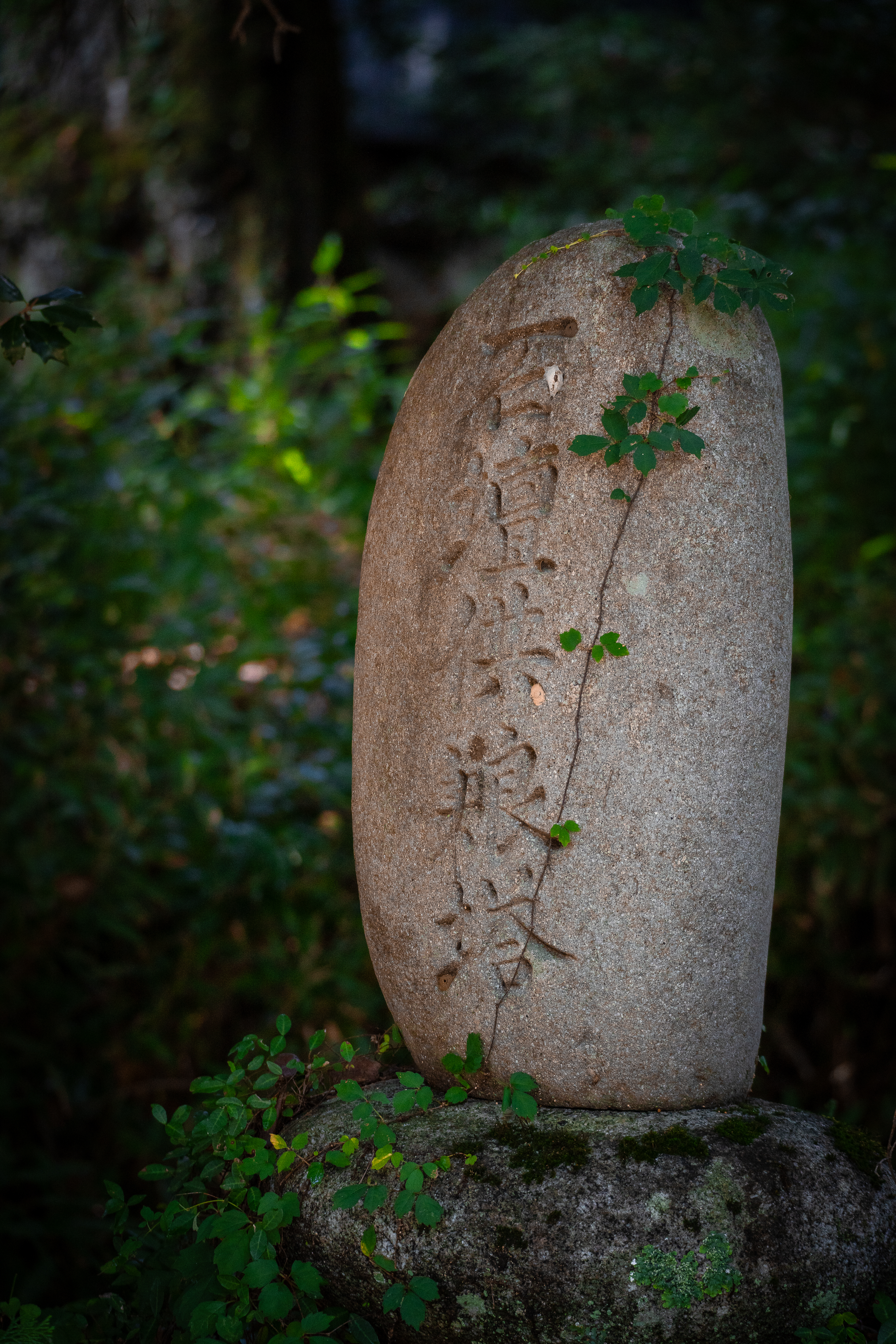 Stone marker in woodland