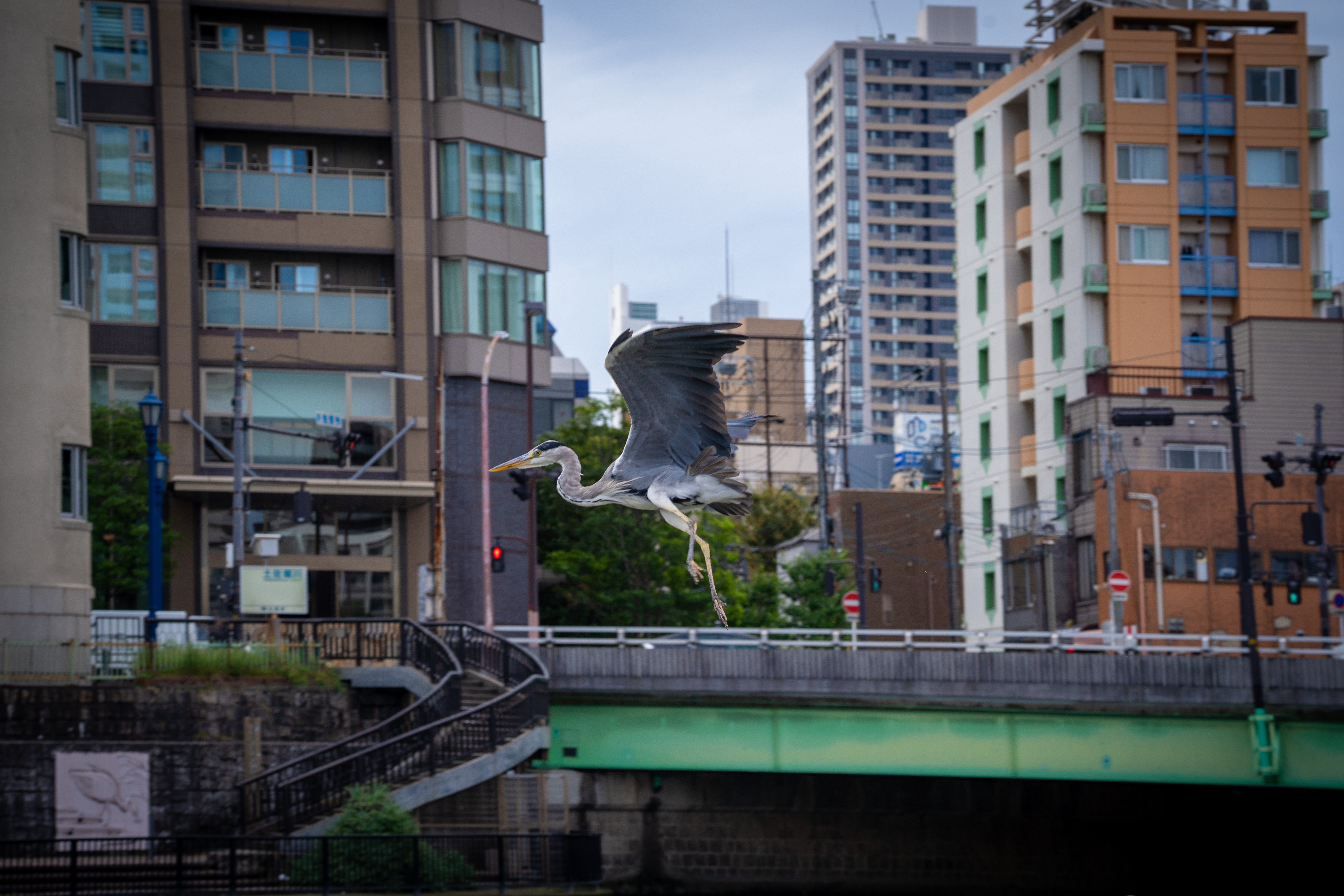 Urban waterfront