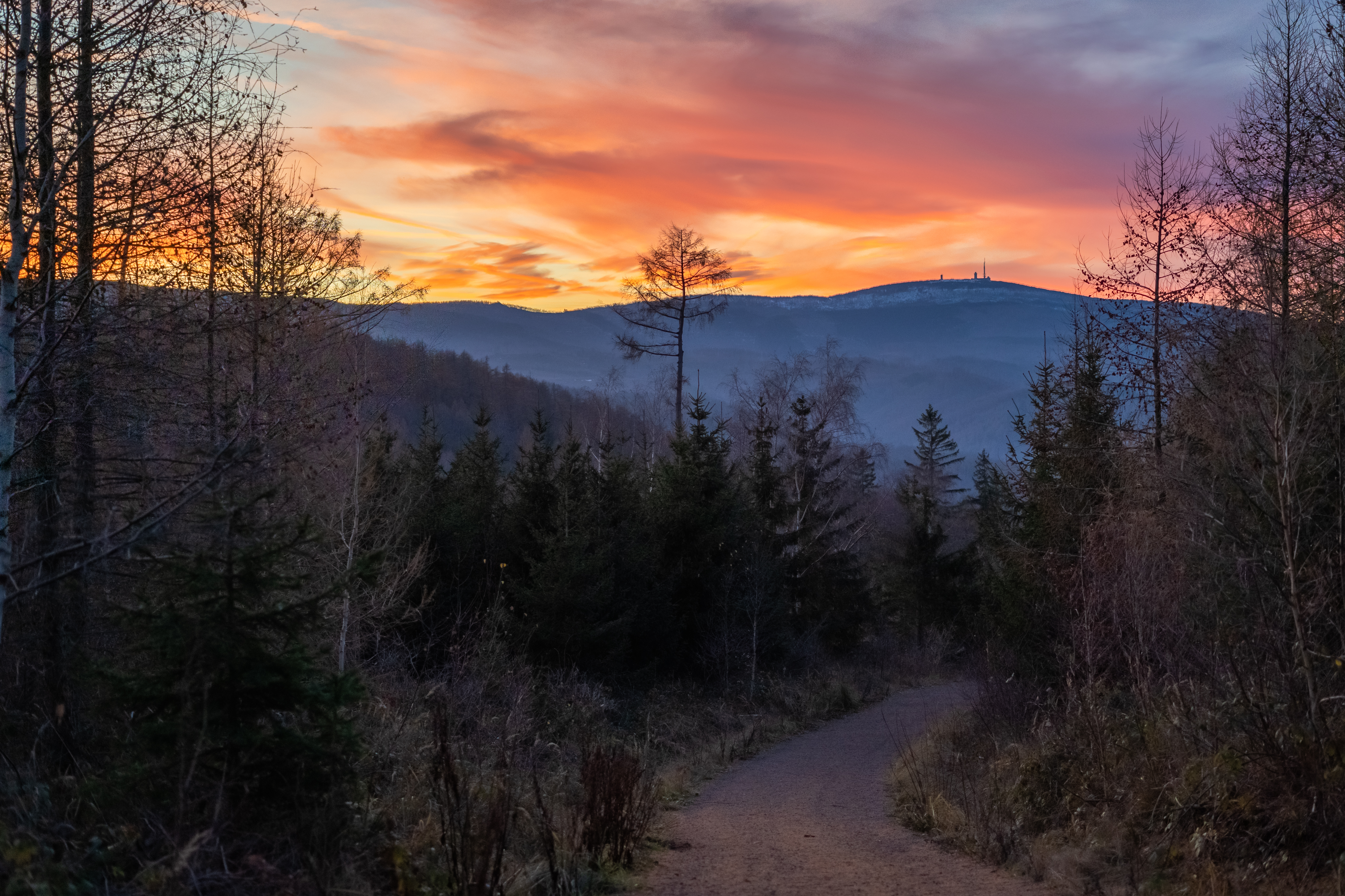 Sunset landscape