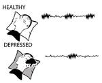 Sleep spindles and cognition in depression.